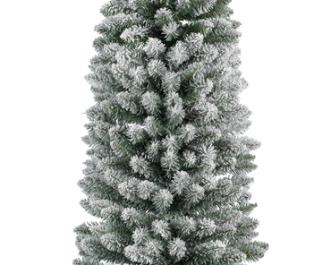 EVERLANDS Pencil pine snowy h240cm groen/wit detail, Everlands, tuincentrumoutlet