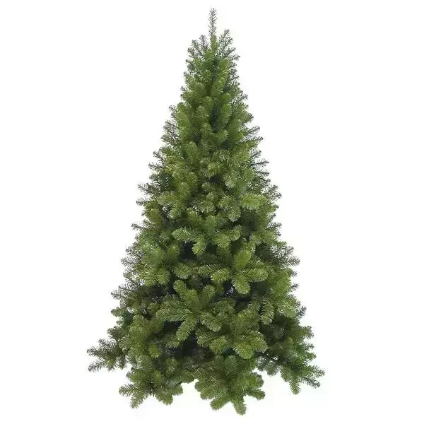 Tuscan 260cm, Triumph Tree, tuincentrumoutlet