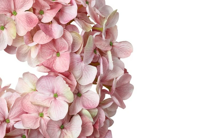 Kunstkrans araucaria 40x40x20cm rz detail, Countryfield, tuincentrumoutlet.com