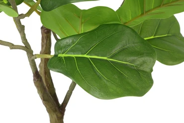 Kunstpl ficus lyrata 15x15x66cm grn detail, Countryfield, tuincentrumoutlet.com