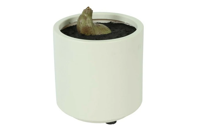 Kunstpl ficus lyrata 15x15x66cm grn details, Countryfield, tuincentrumoutlet.com
