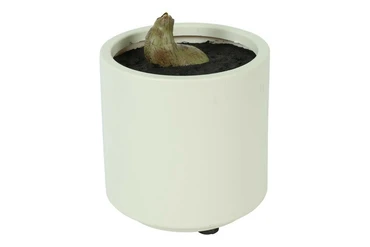 Kunstpl ficus lyrata 15x15x66cm grn details, Countryfield, tuincentrumoutlet.com