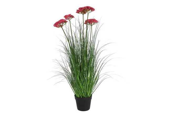 Plant Achillea S lila, Decostar, tuincentrumoutlet.com