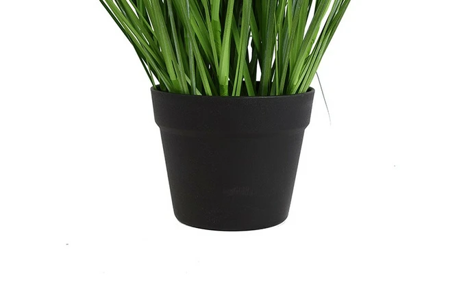 Plant Achillea S lila details, Decostar, tuincentrumoutlet.com