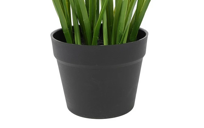 Plant Allium S paars details, Decostar, tuincentrumoutlet.com