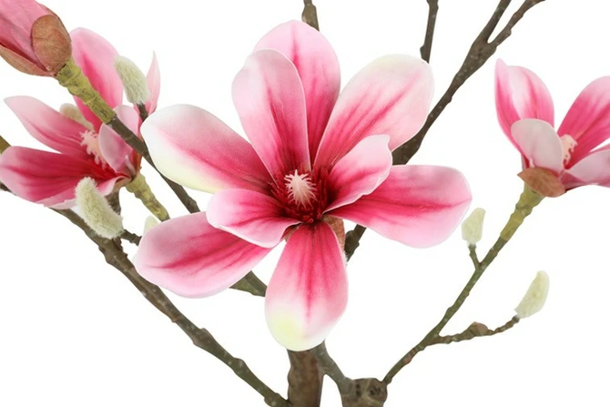 Kunstplant araucaria 35x35x110cm rz detail, Countryfield, tuincentrumoutlet.com