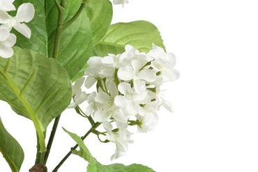 Kunstplant araucaria 50x50x120cm wt detail, Countryfield, tuincentrumoutlet.com