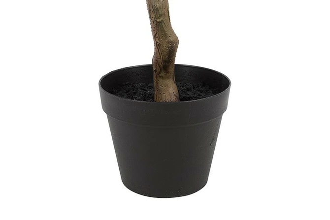 Kunstplant araucaria 50x50x120cm wt details, Countryfield, tuincentrumoutlet.com