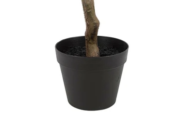 Kunstplant araucaria 50x50x120cm wt details, Countryfield, tuincentrumoutlet.com