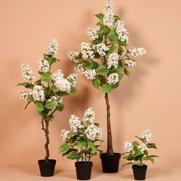 Kunstplant araucaria 50x50x120cm wt setfoto, Countryfield, tuincentrumoutlet.com