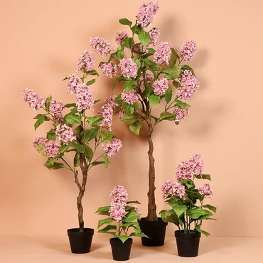 Kunstplant araucaria 60x60x152cm rz setfoto, Countryfield, tuincentrumoutlet.com