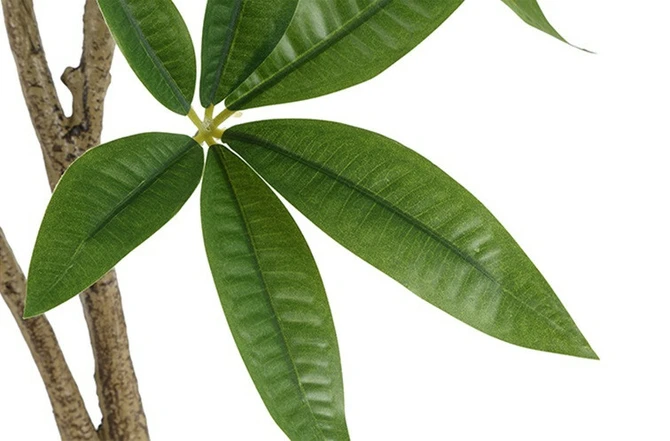 Kunstplant pachira 25x25x190cm grn detail, Countryfield, tuincentrumoutlet.com