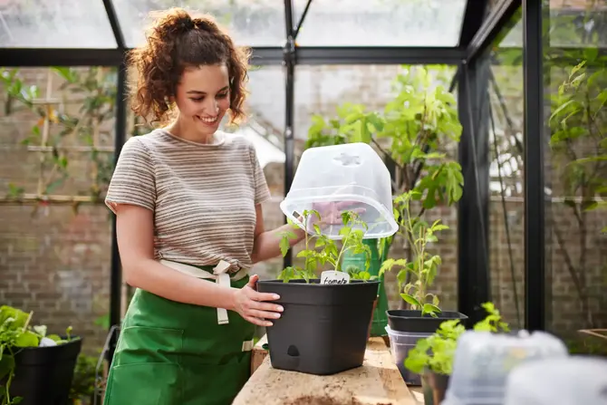 Kweekpot gb vk allin1 25cm lv black sfeerfoto, Elho, tuincentrumoutlet