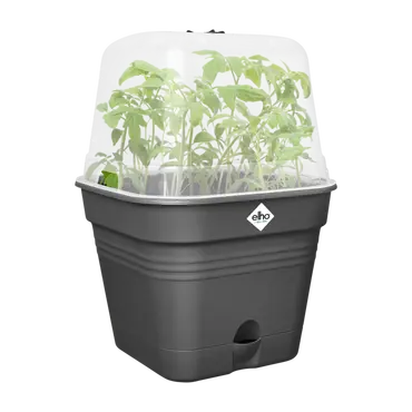 Kweekpot gb vk allin1 35cm lv black sfeer, Elho, tuincentrumoutlet