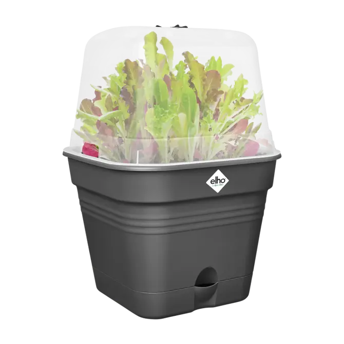 Kweekpot gb vk allin1 35cm lv black sfeerbeeld, Elho, tuincentrumoutlet