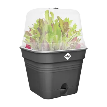 Kweekpot gb vk allin1 35cm lv black sfeerbeeld, Elho, tuincentrumoutlet