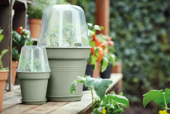 Kweekpot green basics d40cm steengroen sfeerbeeld, Elho, tuincentrumoutlet