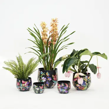 Lammie Exclusieve Collectie Pot midnight bloom d33h28cm - afbeelding 5