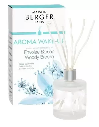 Lampe Berger Parfumverspeider met sticks 180ml Aroma Wake-up - Envolée Boisée / Woody Breeze