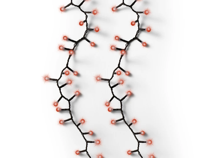 LED cherry lights 8 functie twinkel effect buiten - afbeelding 1