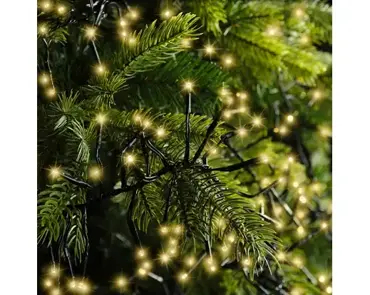 Led cluster 550cm-588l zwrt/sft gld, lumineo, tuincentrumoutlet.com