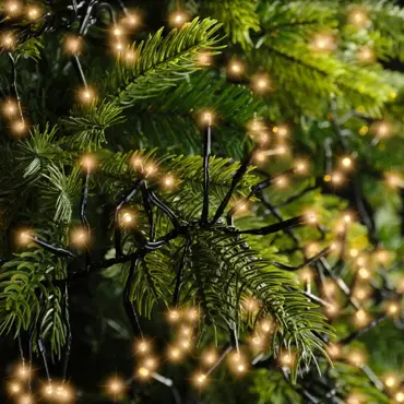 Led cluster l450cm-588l zwrt/k.warm, lumineo, tuincentrumoutlet.com