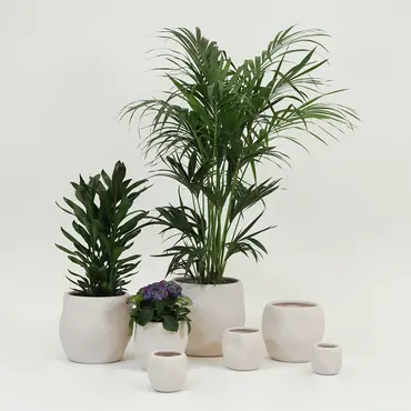 Lisboa organische bloempot voor binnen 20X20X18CM wit, Daan Kromhout, Tuincentrumoutlet.com