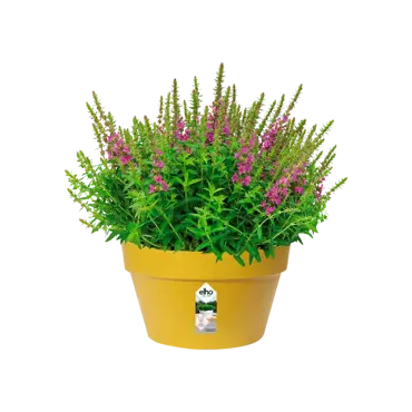 loft urban schaal 35cm oker potplant, Elho, tuincentrumoutlet