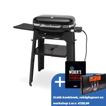 Lumin black w/stand, elektrisch - afbeelding 1