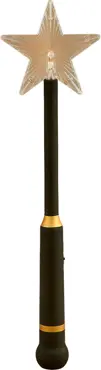 Magic remote control bo h8.5d3cm zwart, Edelman, Tuincentrumoutlet.com