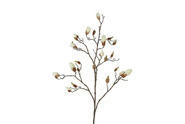 Magnolia knop tak Kelsey L roze, Countryfield, tuincentrumoutlet.com
