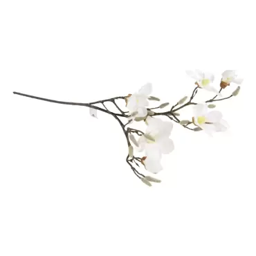 Magnolia steel - 115 cm wit