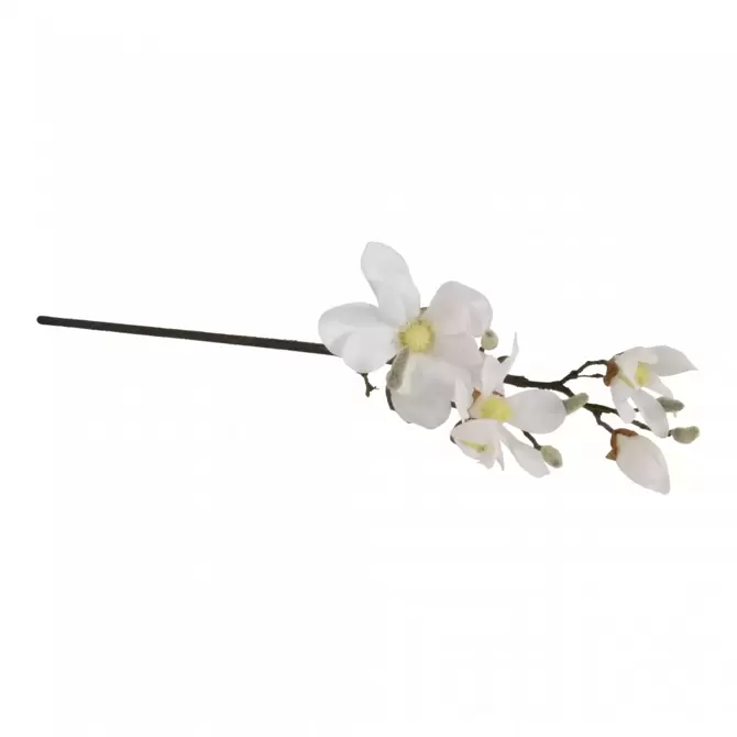 Magnolia steel h35cm wit www.tuincentrumoutlet.com