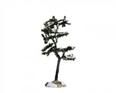 Marcescent tree small, Lemax, tuincentrumoutlet