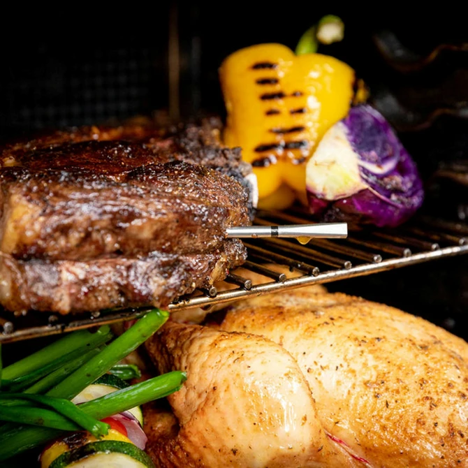 Meater PRO (Plus 2) sfeerbeeld, Meater, tuincentrumoutlet.com