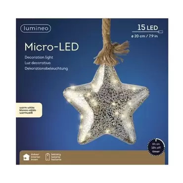 Micro LED touw ster d20cm, Lumineo, www.tuincentrumoutlet.com