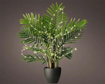 Microled plant 40l/l40cm zlvr/ww bo - afbeelding 3