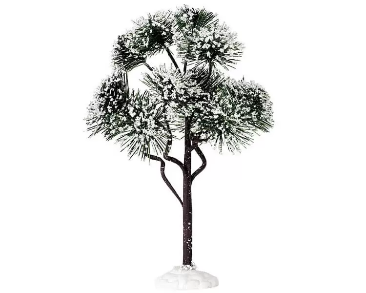 Mountain Pine Large afbeelding