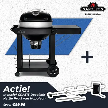 Napoleon Charcoal Pro PRO22K-CART-3 (Ø 57 cm)