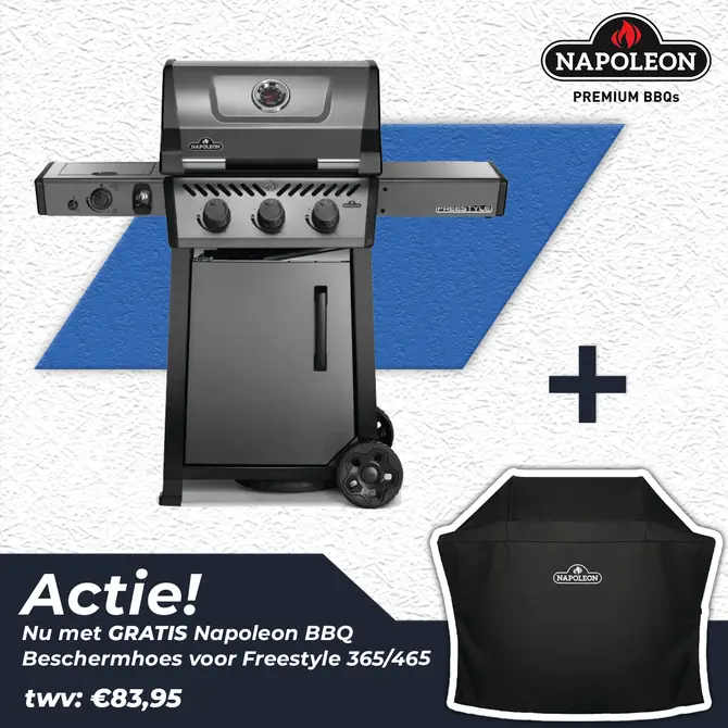 Napoleon Freestyle™ 365 DSIB Grafietgrijs - afbeelding 1