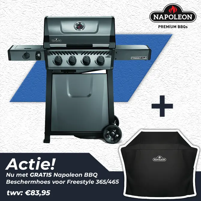 Napoleon Freestyle™ 425 SB Grafietgrijs - afbeelding 1