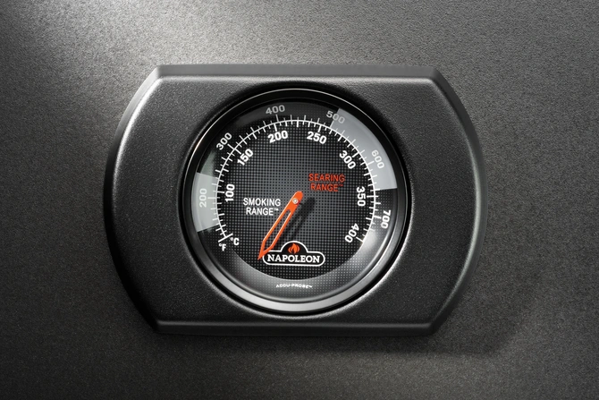 Phantom rogue pro-s 425,Napoleon, Tuincentrumoutlet