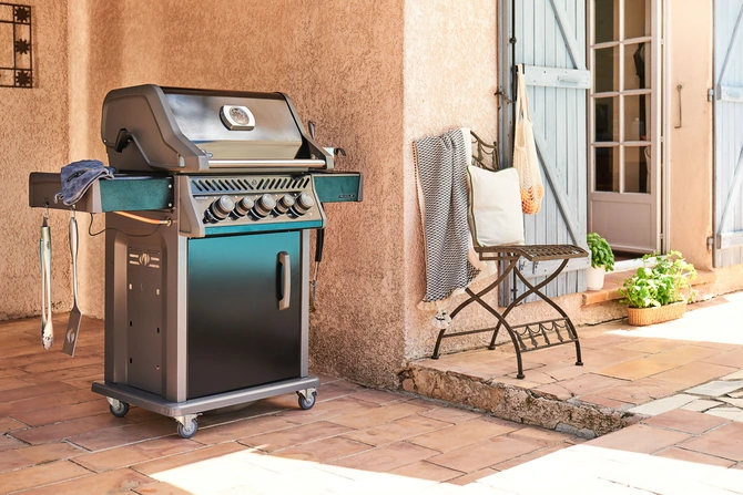 Rogue 425, Napoleon, Tuincentrumoutlet