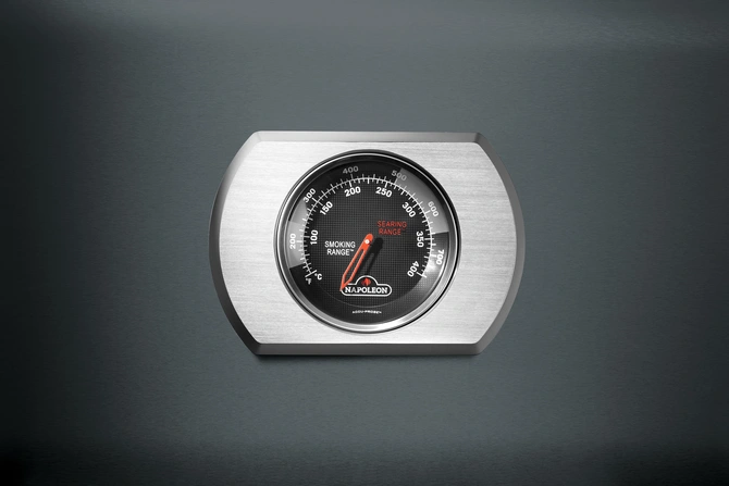 Rogue pro 425 limited edition grijs, Napoleon, Tuincentrumoutlet