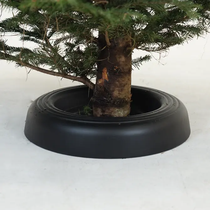 Nordman 150-200cm gezaagd incl standaard - afbeelding 3