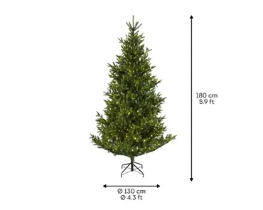 Nordmann bm fir prelit d130h180cm wwt afmetingen, Everlands, tuincentrumoutlet.com