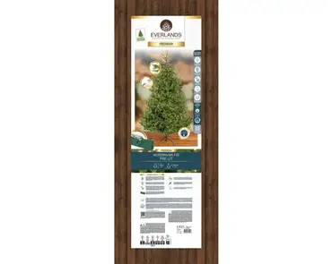 Nordmann bm fir prelit d130h180cm wwt verpakking, Everlands, tuincentrumoutlet.com