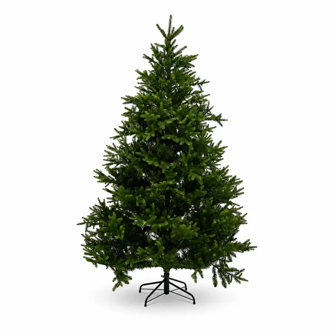 Nordmann bm fir zonder lampjes d150h210cm , Everlands, tuincentrumoutlet.com