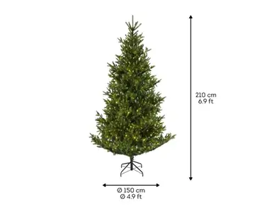 Nordmann bm fir prelit d150h210cm wwt afmetingen, Everlands, tuincentrumoutlet.com