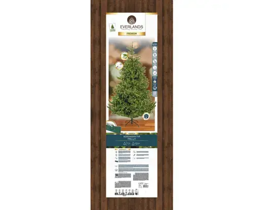 Nordmann bm fir prelit d150h210cm wwt verpakking, Everlands, tuincentrumoutlet.com